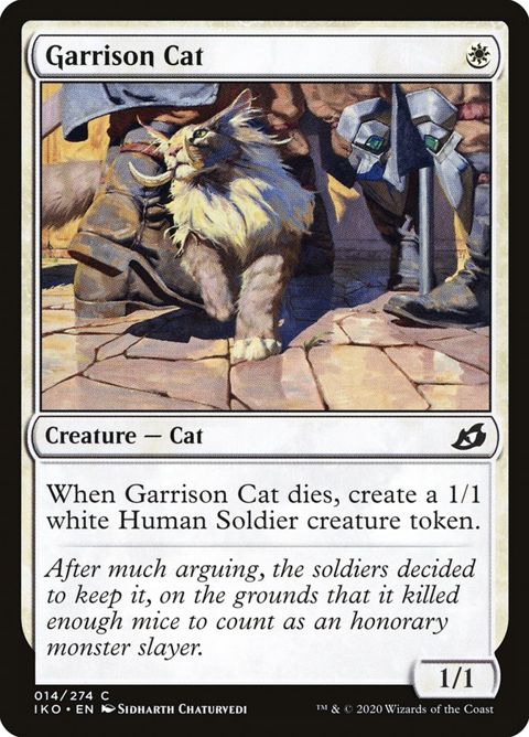 14-garrisoncat