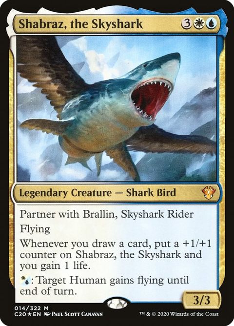 14-shabraztheskyshark