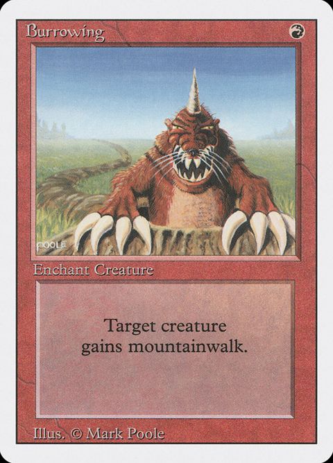 140-burrowing