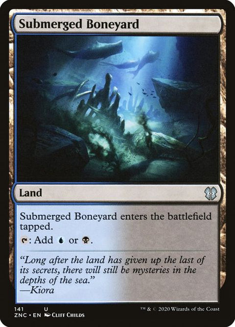 141-submergedboneyard