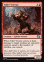 142-volleyveteran