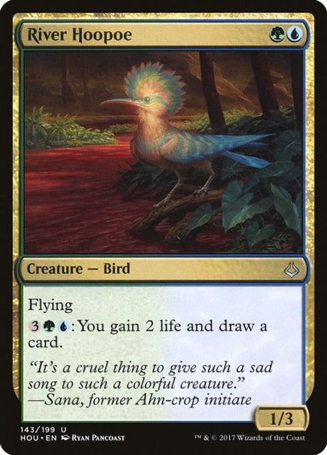 143-riverhoopoe