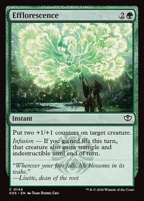144-efflorescence