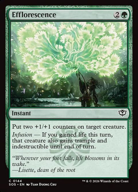 144-efflorescence