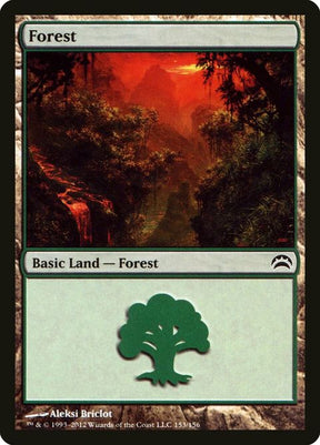 153-forest