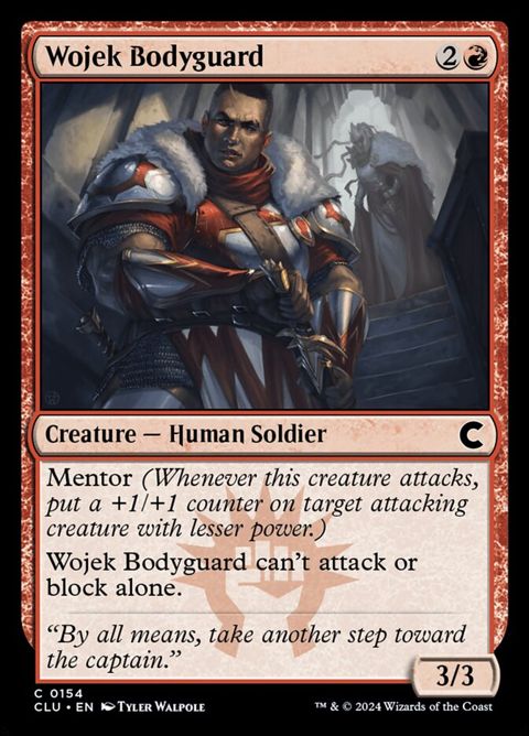 154-wojekbodyguard