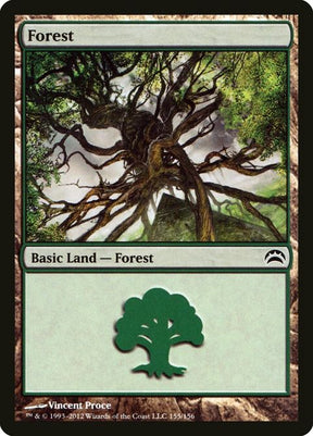 155-forest