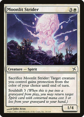 16-moonlitstrider