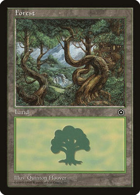 163-forest