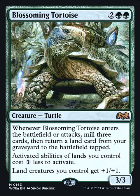 163s-blossomingtortoise