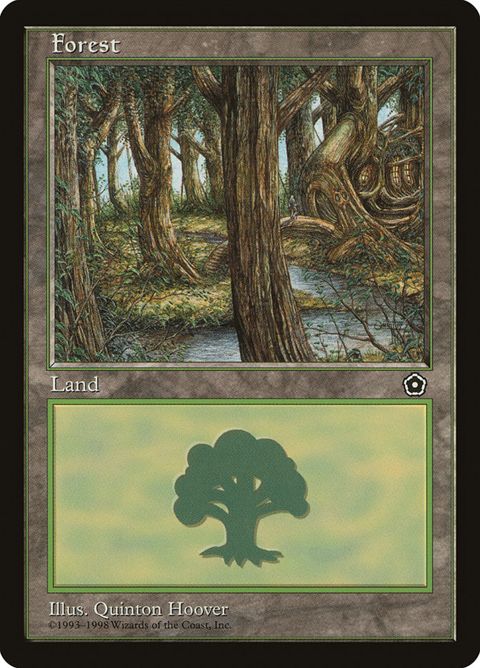 164-forest