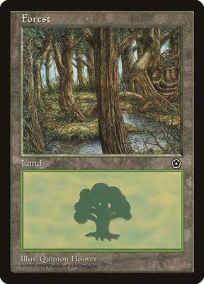 164-forest