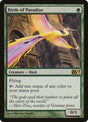 165-birdsofparadise