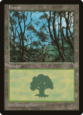 165-forest