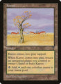 165-karoo