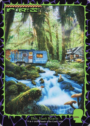 1656-forest