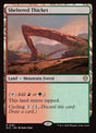 167-shelteredthicket