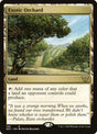 168-exoticorchard