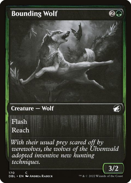 170-boundingwolf