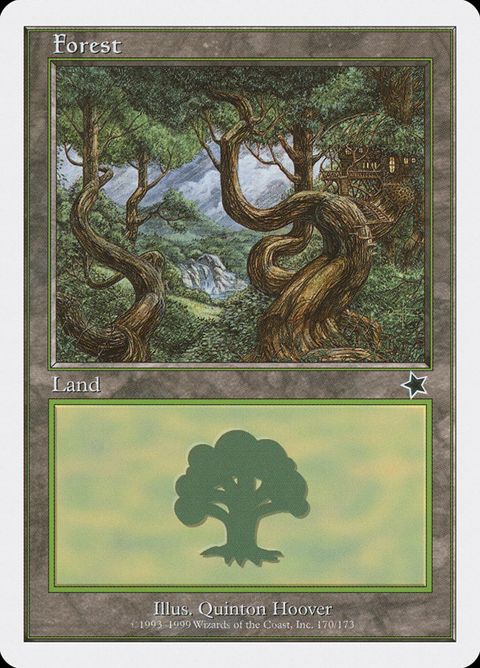 170-forest