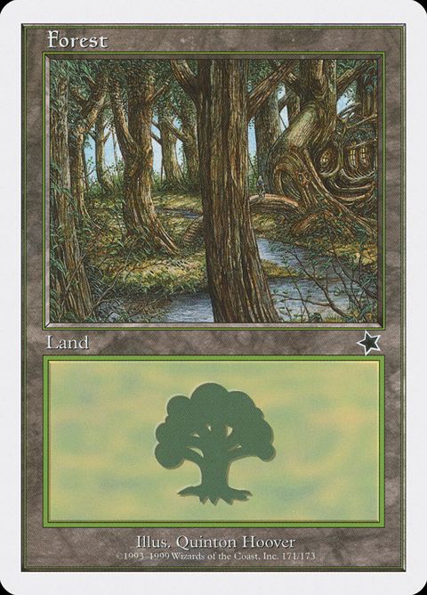 171-forest