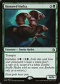 172-honoredhydra