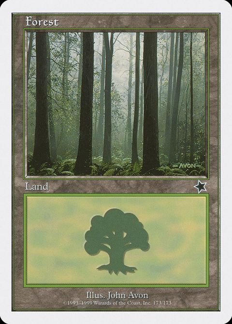173-forest