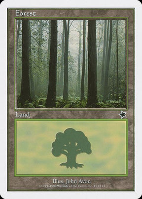 173-forest