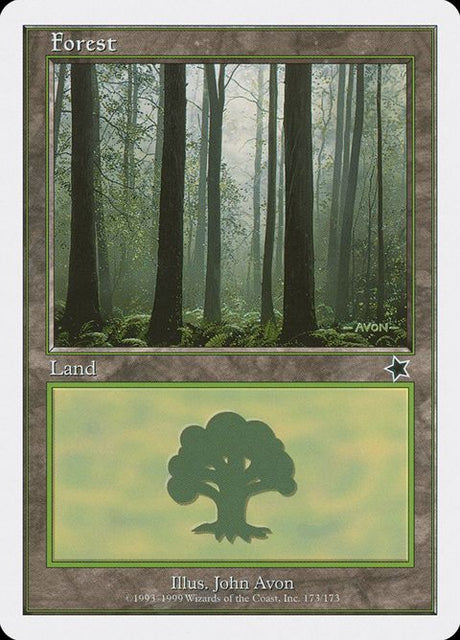 173-forest