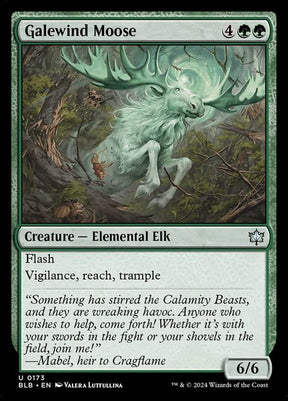 173-galewindmoose