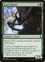 173-giantmantis