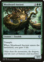 173-mossbeardancient