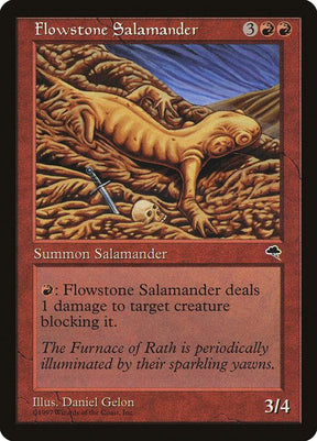 175-flowstonesalamander