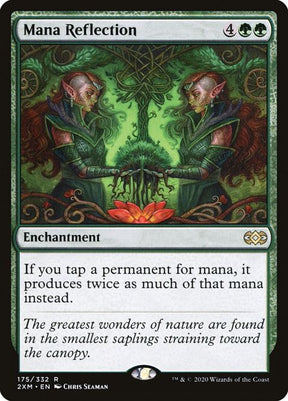 175-manareflection