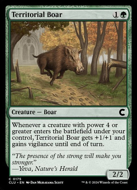 175-territorialboar
