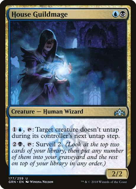 177-houseguildmage