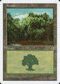 178-forest