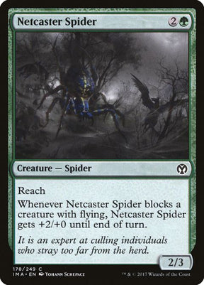178-netcasterspider
