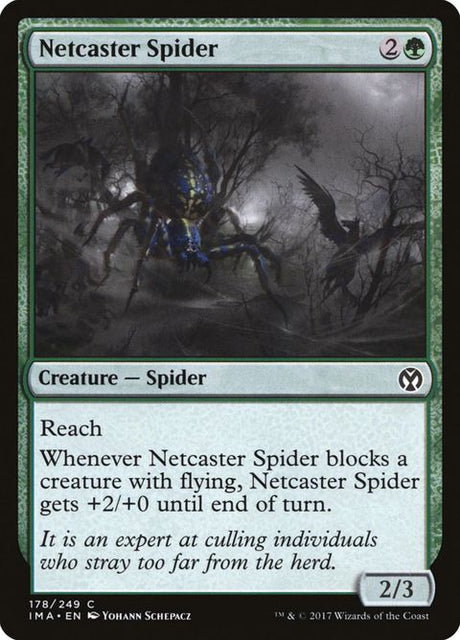 178-netcasterspider
