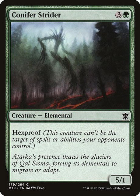 179-coniferstrider