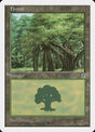 180-forest