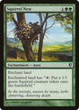 180-squirrelnest