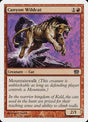 181-canyonwildcat