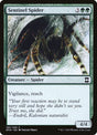185-sentinelspider