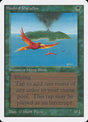 187-birdsofparadise