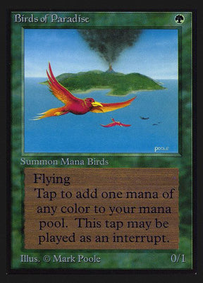 187-birdsofparadise