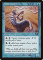 19-cetadisciple