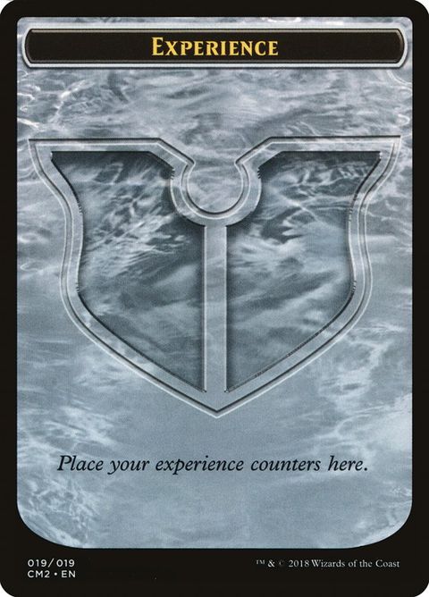 19-experience
