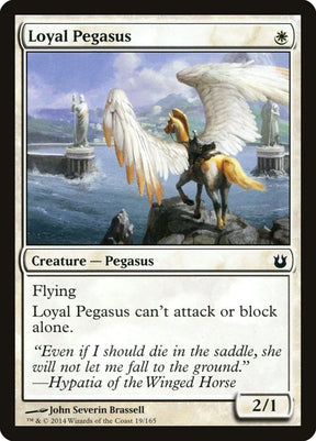 19-loyalpegasus