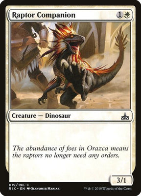 19-raptorcompanion
